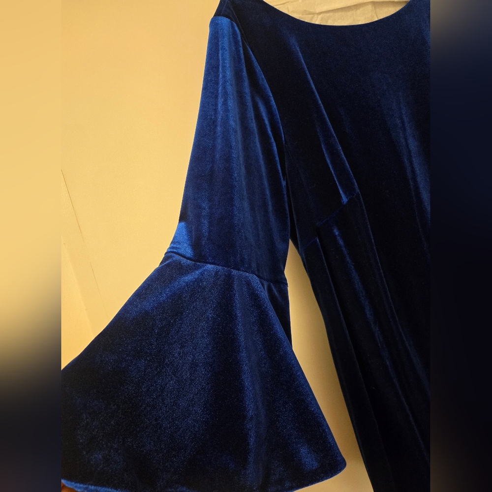 Calvin Klein Blue Velvet Dress 👗 with trumpet sleeves 14W - Picture 2 of 6